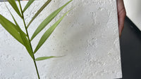 Decora Raffaello Venetian Plaster sample board showing its fine textured finish