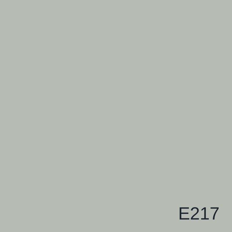 Decora Era Silver Metallic Decorative Finish 1L in colour E217 — colour swatch, MVP Products