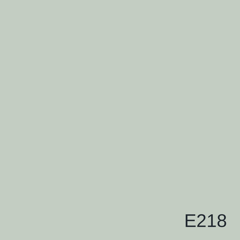 Decora Era Silver Metallic Decorative Finish 1L in colour E218 — colour swatch, MVP Products