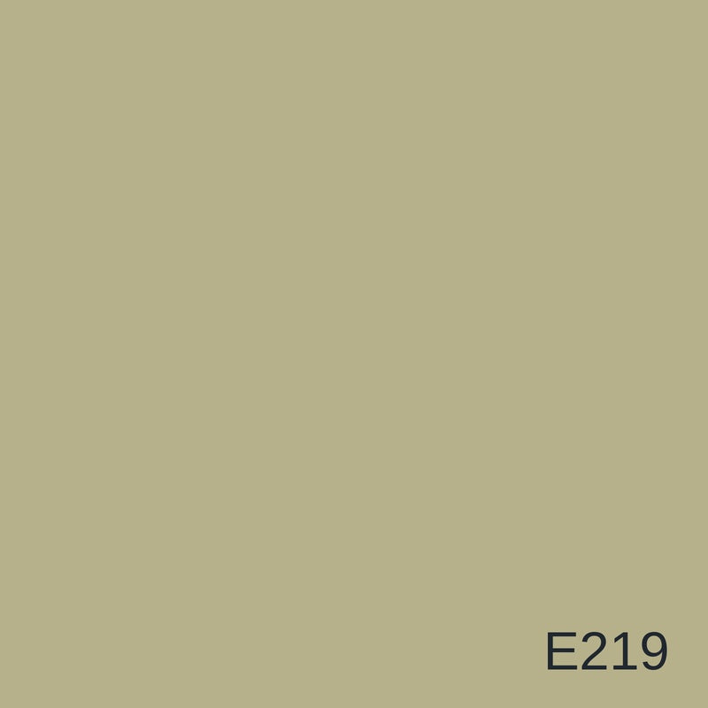 Decora Era Silver Metallic Decorative Finish 1L in colour E219 — colour swatch, MVP Products