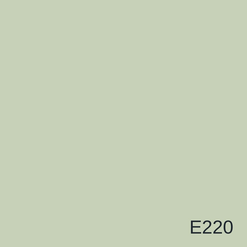 Decora Era Silver Metallic Decorative Finish 1L in colour E220 — colour swatch, MVP Products