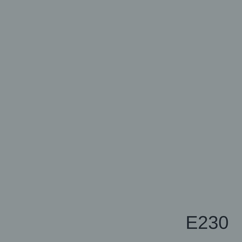 Decora Era Silver Metallic Decorative Finish 1L in colour E230 — colour swatch, MVP Products