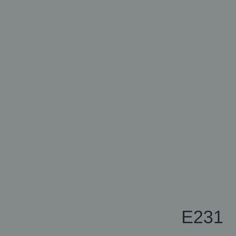 Decora Era Silver Metallic Decorative Finish 1L in colour E231 — colour swatch, MVP Products