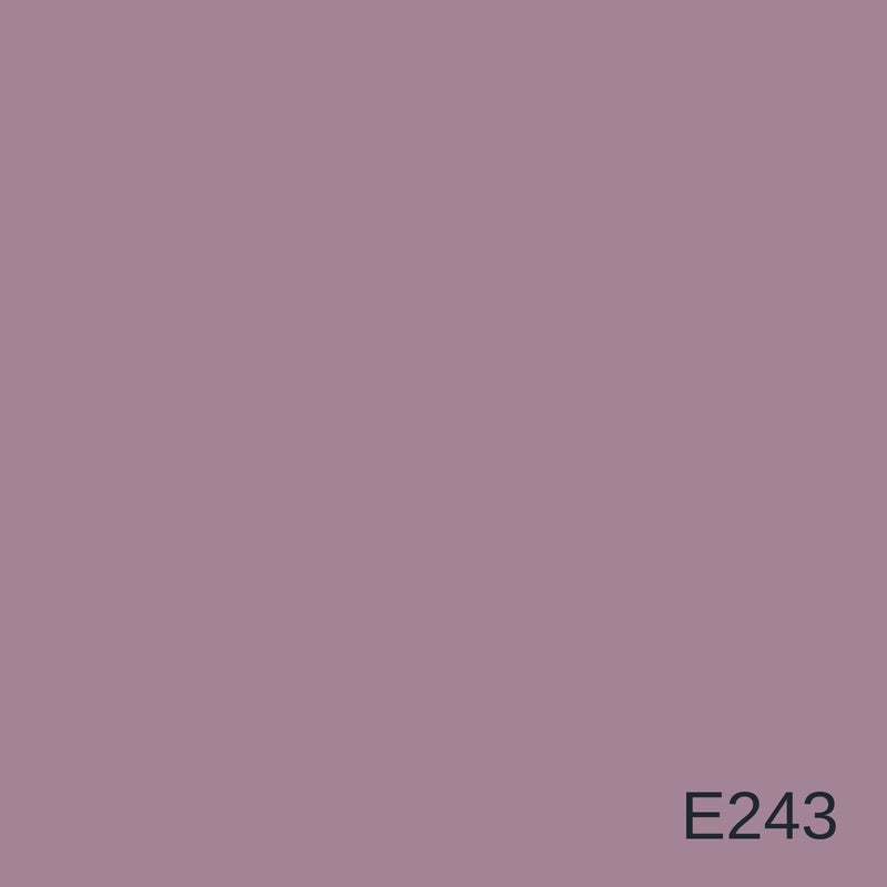 Decora Era Silver Metallic Decorative Finish 1L in colour E243 — colour swatch, MVP Products