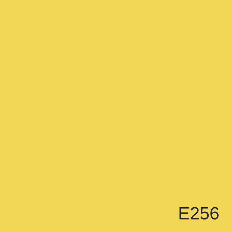 Decora Era Silver Metallic Decorative Finish 1L in colour E256 — colour swatch, MVP Products