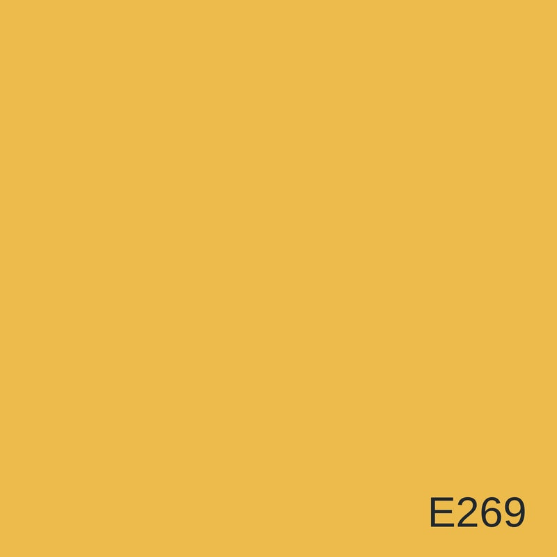 Decora Era Silver Metallic Decorative Finish 1L in colour E269 — colour swatch, MVP Products