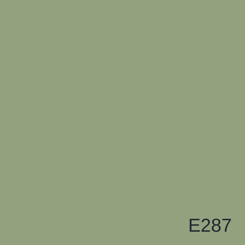 Decora Era Silver Metallic Decorative Finish 1L in colour E287 — colour swatch, MVP Products