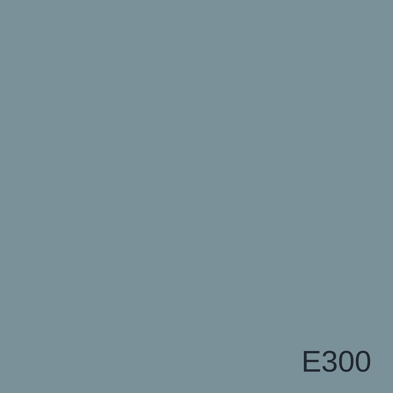 Decora Era Silver Metallic Decorative Finish 1L in colour E300 — colour swatch, MVP Products