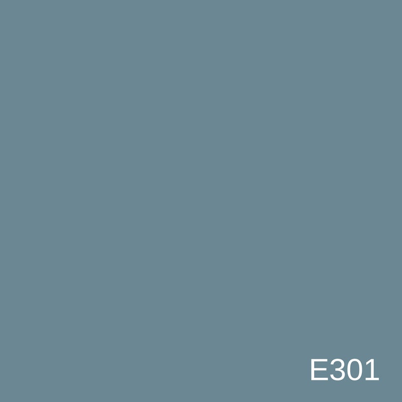 Decora Era Silver Metallic Decorative Finish 1L in colour E301 — colour swatch, MVP Products