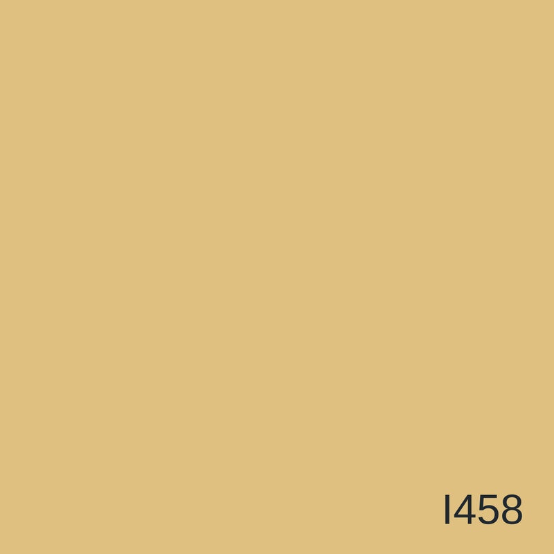 Decora Infinity White Metallic Decorative Paint 4L in colour I458 — colour swatch, MVP Products