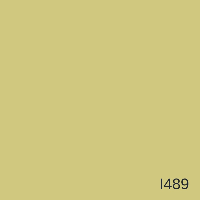 Decora Infinity White Metallic Decorative Paint 4L in colour I489 — colour swatch, MVP Products