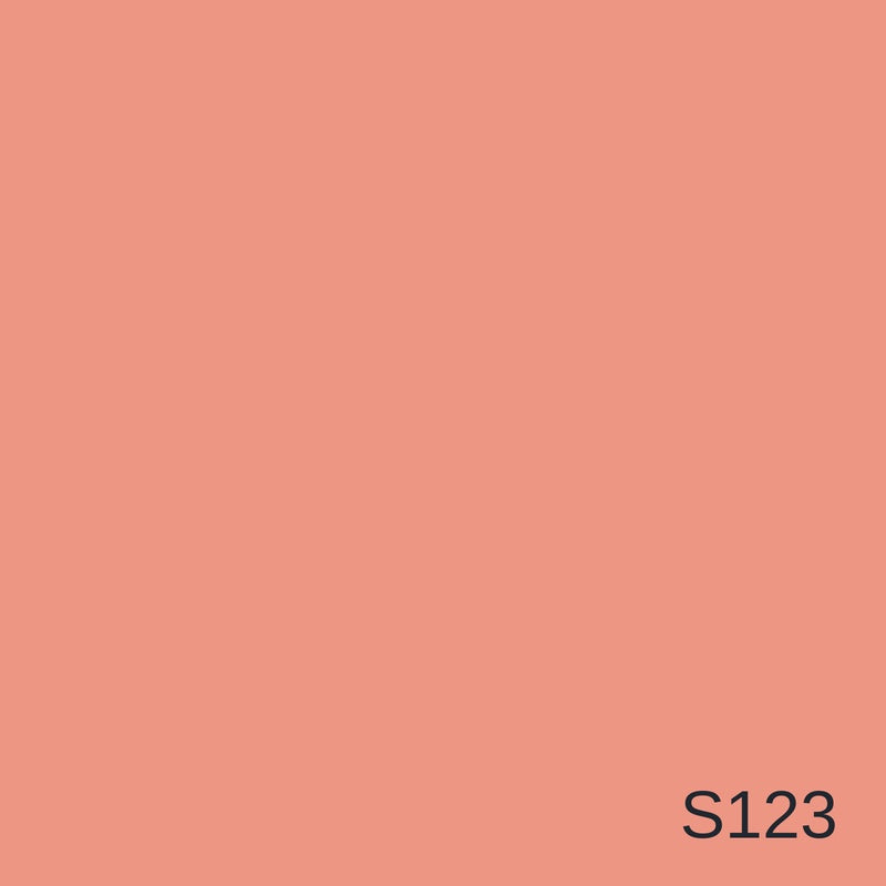 Decora Space Silver Metallic Decorative Finish 1L in colour S123 — colour swatch, MVP Products